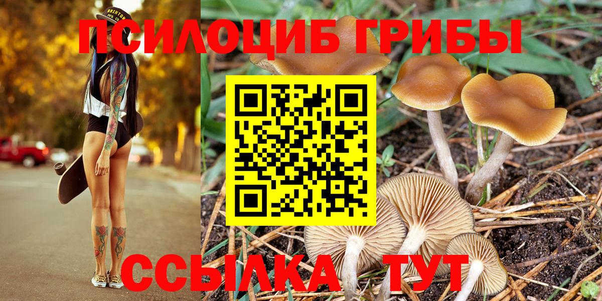 Псилоцибиновые грибы Psilocybine cubensis  Вход с VPN  Корсаков 